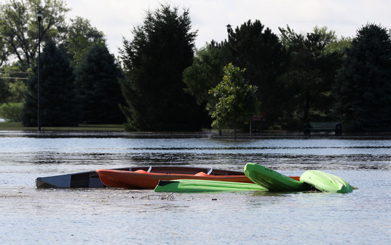 Kayaks at Yanney Park